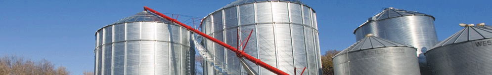 Farm King Auger